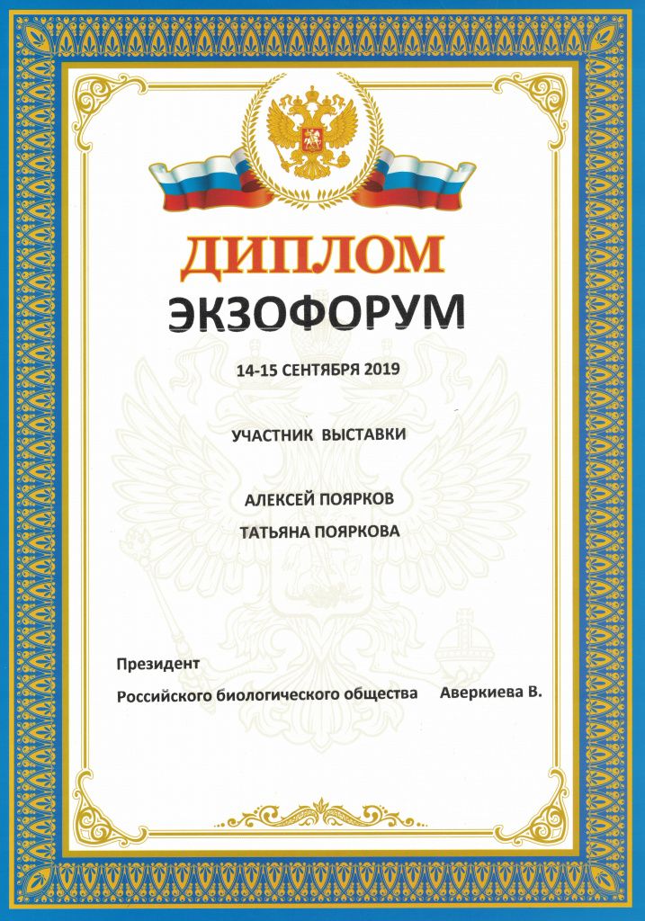 Диплом Экзофорум.jpg